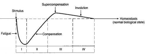 Supercompensation Curve